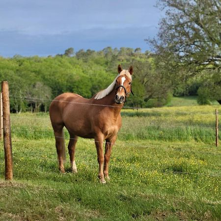 Maison Chaleureuse A La Campagne Payrignac Zewnętrze zdjęcie
